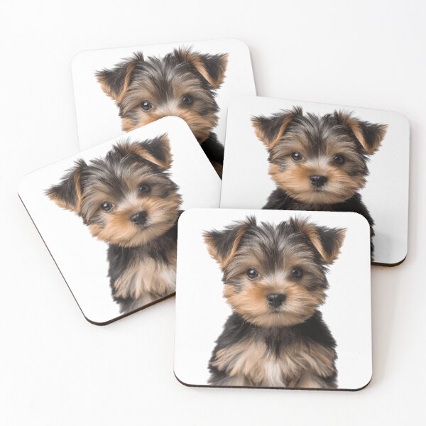 Item preview, Adorable Yorkshire Terrier Pup for Cute Yorkshire Terrier puppy lovers designed and sold by LazyOwlStore.