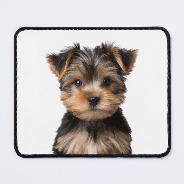 Item preview, Adorable Yorkshire Terrier Pup for Cute Yorkshire Terrier puppy lovers designed and sold by LazyOwlStore.