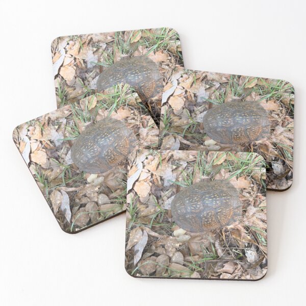 Item preview, Wild Box Turtles in Their Natural Habitat designed and sold by Pearls1.