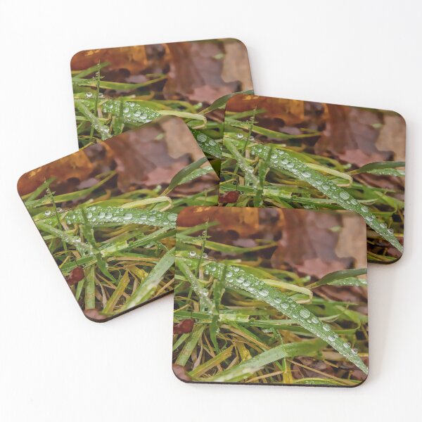 Item preview, Liquid Jewels on Autumn Emeralds designed and sold by ShotsbyDesiree.