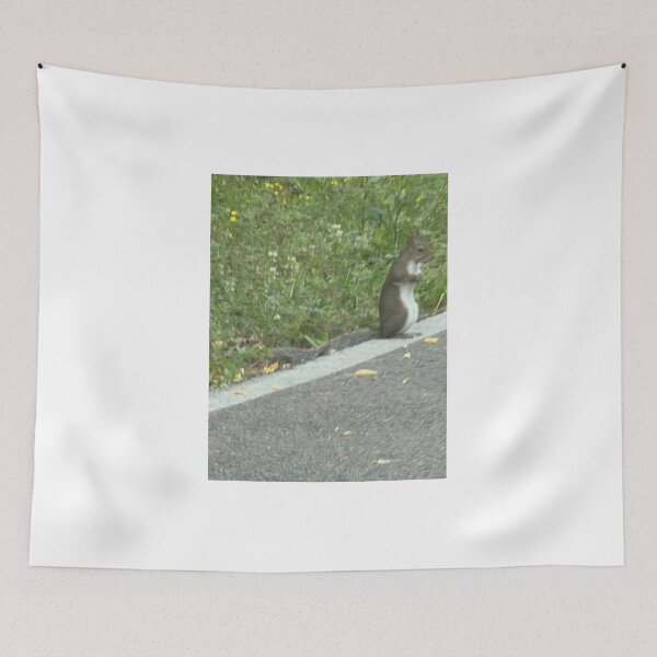 Item preview, Roadside Squirrels Gathering Near the Path. designed and sold by Pearls1.