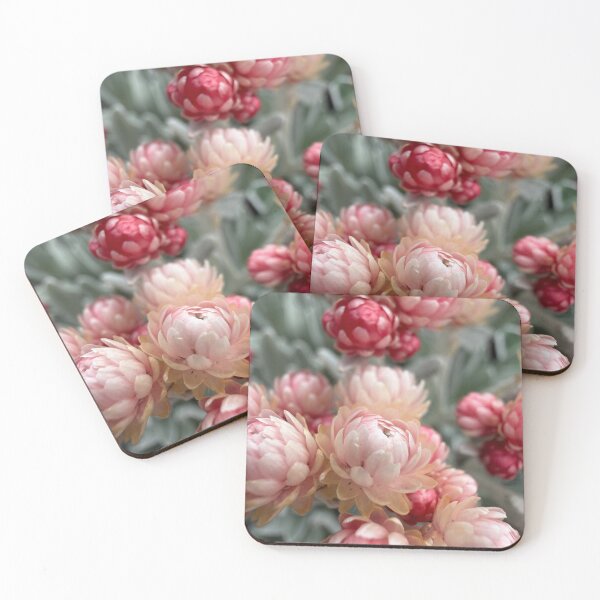 Item preview, Strawflower Close-Up with Watercolor-Like Petals designed and sold by Betsy Phillips.