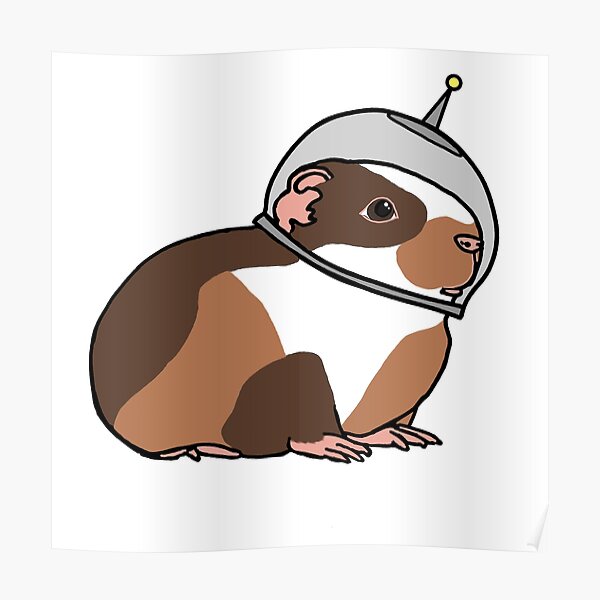 Space Potato (Guinea Pig) Poster