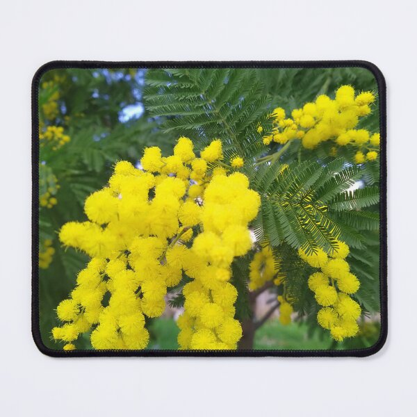 Item preview, yellow like mimosa designed and sold by MirelleHDB.