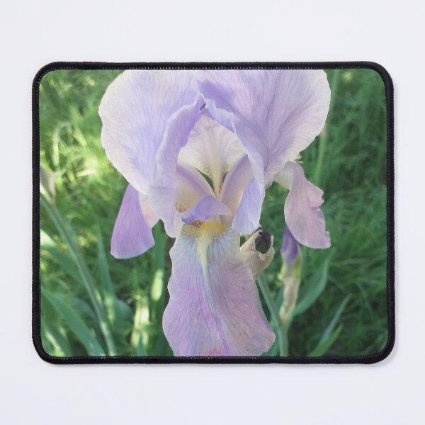 Item preview, Iris designed and sold by MirelleHDB.