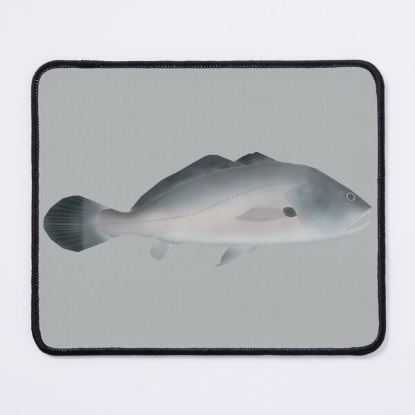 Item preview, South American Silver Croaker designed and sold by fishfolkart.