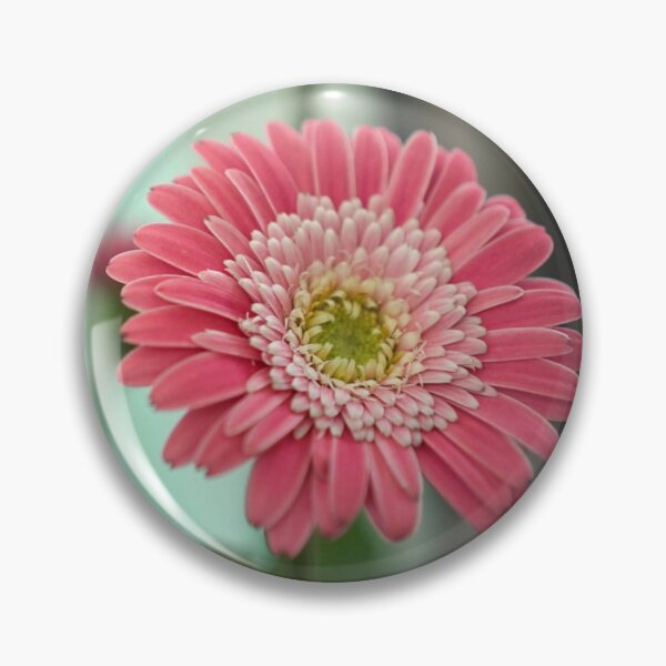 Item preview, Pink Gerbera Daisy Flowers Botanical Fine Art Photography designed and sold by MDCCo.