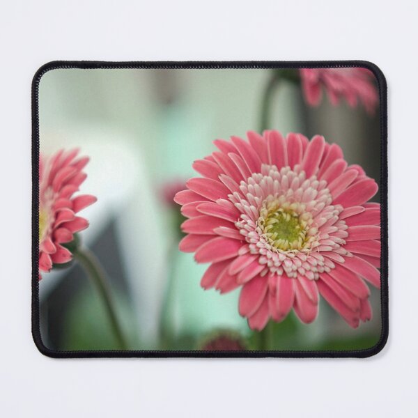 Item preview, Pink Gerbera Daisy Flowers Botanical Fine Art Photography designed and sold by MDCCo.