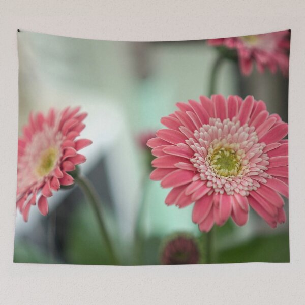 Item preview, Pink Gerbera Daisy Flowers Botanical Fine Art Photography designed and sold by MDCCo.