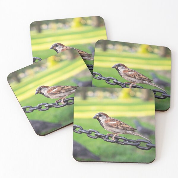 Item preview, Sparrow Perched on Chain Fence Wildlife Photography designed and sold by MDCCo.
