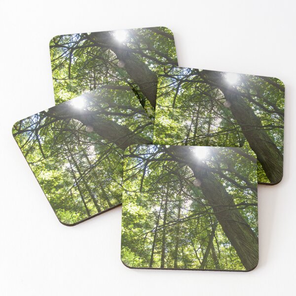 Item preview, Sunlight Through the Forest Canopy designed and sold by FFP Landscapes.