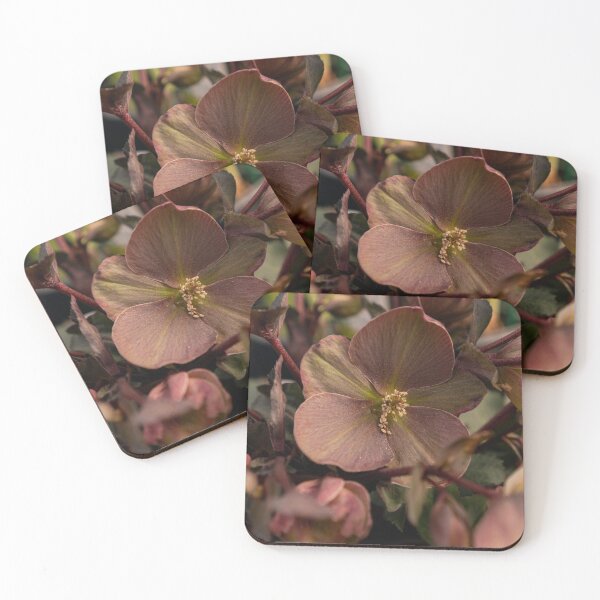 Item preview, Hellebore Flower Dark Pink Macro Botanical Fine Art designed and sold by MDCCo.