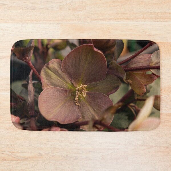 Item preview, Hellebore Flower Dark Pink Macro Botanical Fine Art designed and sold by MDCCo.