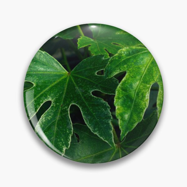 Item preview, Deep Green Fatsia Leaves Botanical Macro Photography designed and sold by MDCCo.