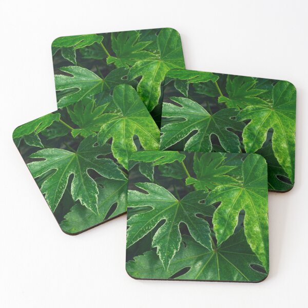 Item preview, Deep Green Fatsia Leaves Botanical Macro Photography designed and sold by MDCCo.