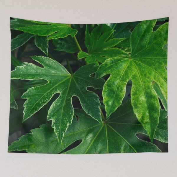 Item preview, Deep Green Fatsia Leaves Botanical Macro Photography designed and sold by MDCCo.