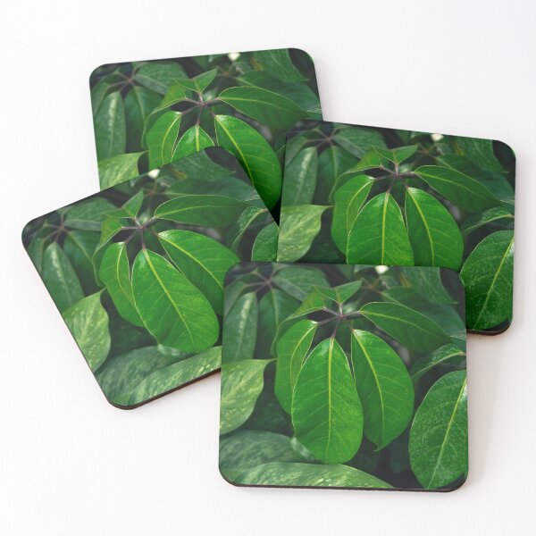 Item preview, Tropical Green Schefflera Leaves Botanical Fine Art designed and sold by MDCCo.