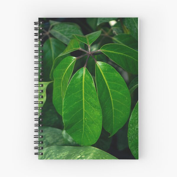 Item preview, Tropical Green Schefflera Leaves Botanical Fine Art designed and sold by MDCCo.