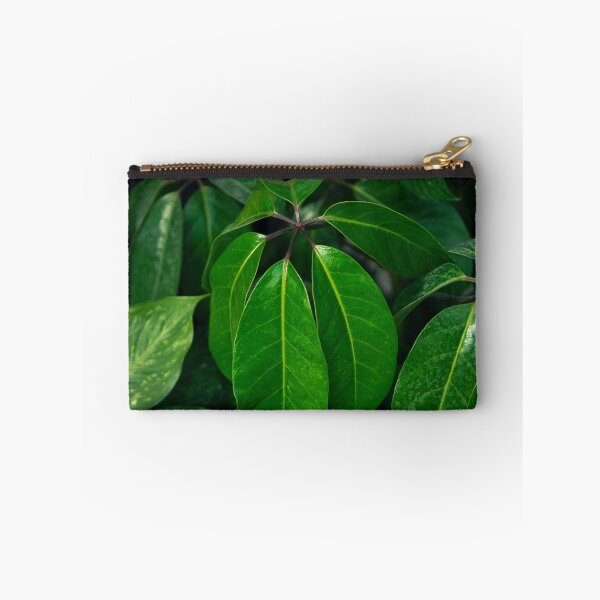 Item preview, Tropical Green Schefflera Leaves Botanical Fine Art designed and sold by MDCCo.