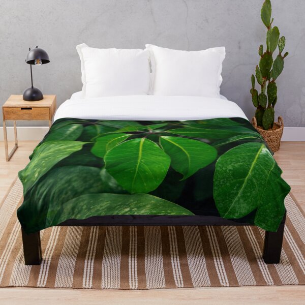 Item preview, Tropical Green Schefflera Leaves Botanical Fine Art designed and sold by MDCCo.