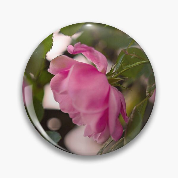 Item preview, Fotografía artística botánica de primer plano de una rosa de jardín rosa. designed and sold by MDCCo.