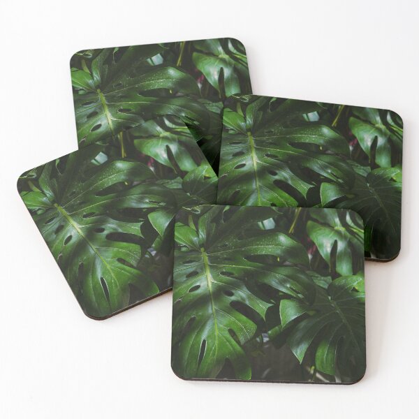 Item preview, Monstera Deliciosa Leaves Tropical Botanical Photography designed and sold by MDCCo.