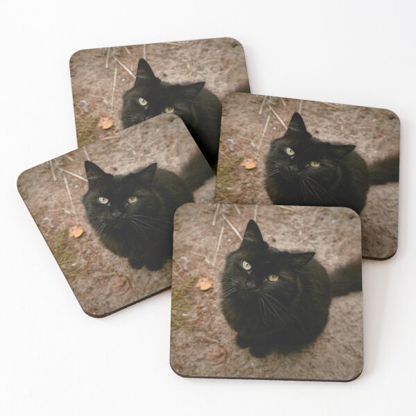 Item preview, Black Cat Looking Up Outdoor Portrait Photography designed and sold by MDCCo.