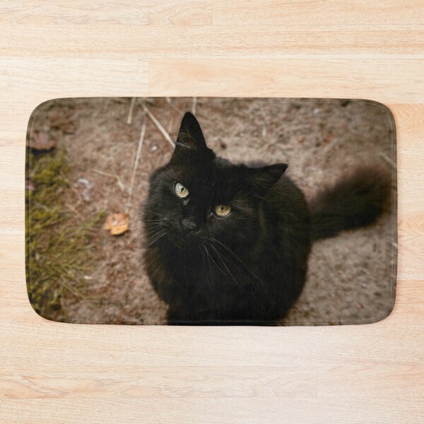 Item preview, Black Cat Looking Up Outdoor Portrait Photography designed and sold by MDCCo.