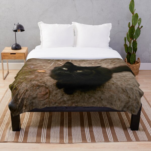 Item preview, Black Cat Looking Up Outdoor Portrait Photography designed and sold by MDCCo.