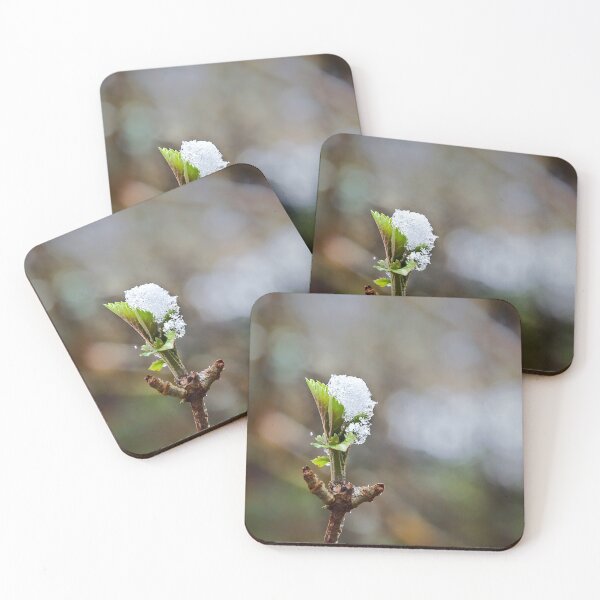 Item preview, Resilience in the Snow designed and sold by ShotsbyDesiree.