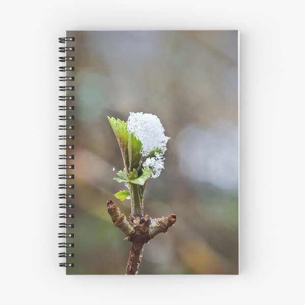 Item preview, Resilience in the Snow designed and sold by ShotsbyDesiree.