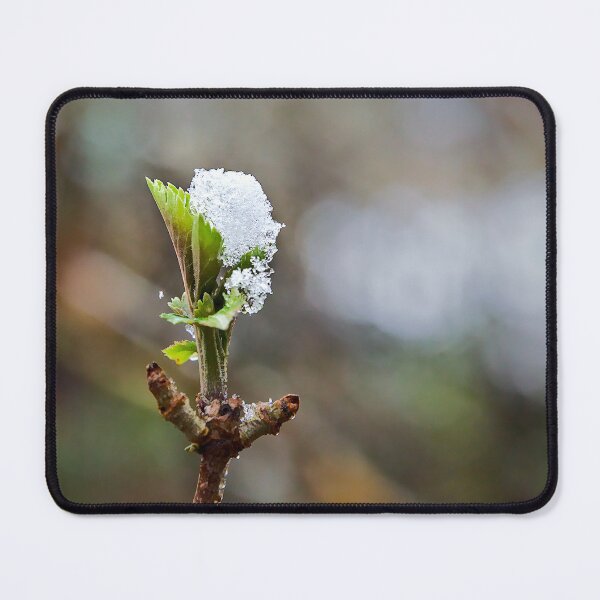 Item preview, Resilience in the Snow designed and sold by ShotsbyDesiree.