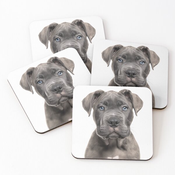 Item preview, Adorable Cane Corso Pup for Cute Cane Corso puppy lovers designed and sold by LazyOwlStore.