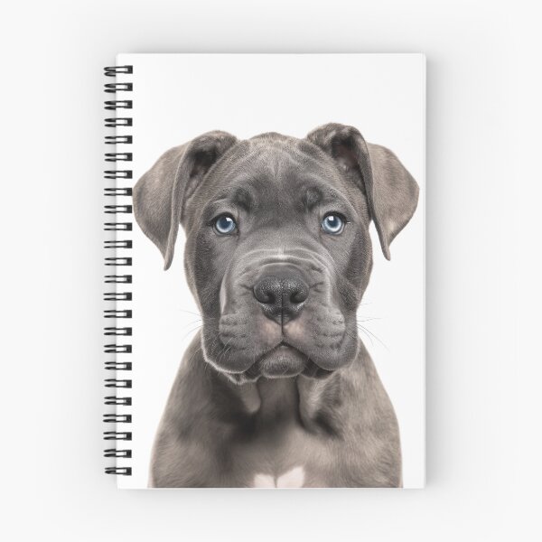 Item preview, Adorable Cane Corso Pup for Cute Cane Corso puppy lovers designed and sold by LazyOwlStore.