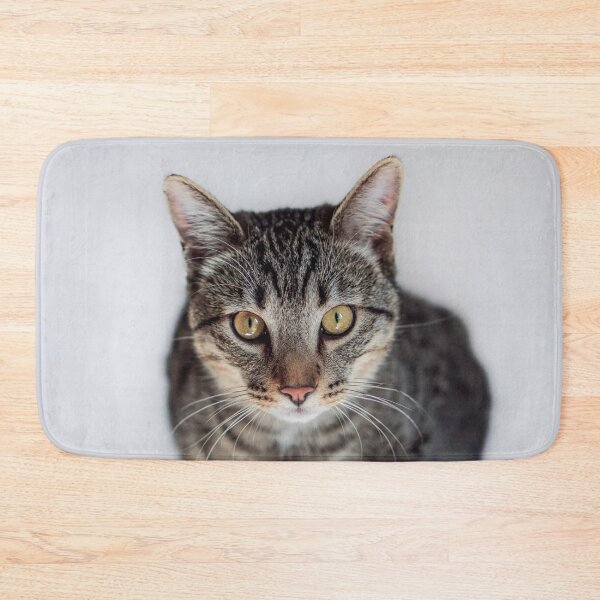Item preview, Tabby Cat Loaf Portrait Fine Art Pet Photography designed and sold by MDCCo.