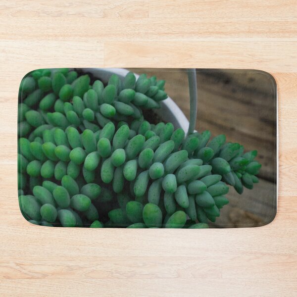 Item preview,  Green Sedum Succulent Plant in White Pot Botanical Photography designed and sold by MDCCo.