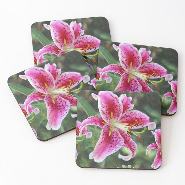 Item preview, Stargazer Lily Triplets designed and sold by BostonArcImage.