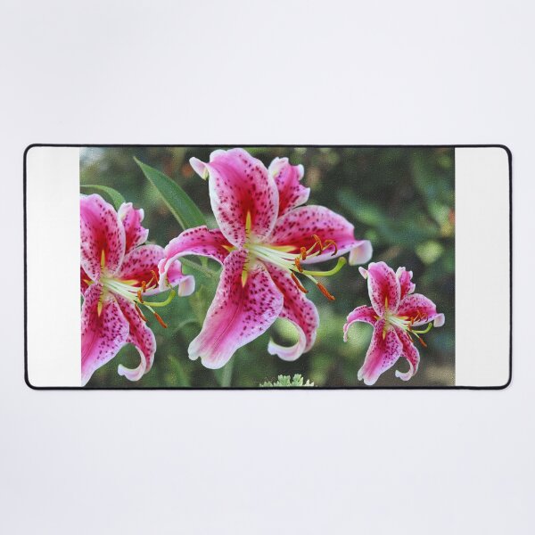 Item preview, Stargazer Lily Triplets designed and sold by BostonArcImage.
