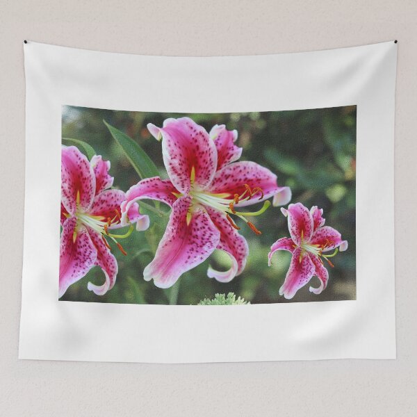 Item preview, Stargazer Lily Triplets designed and sold by BostonArcImage.