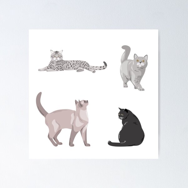 Item preview, Cats resting and playing in a simple illustration of different feline breeds in various poses designed and sold by Ms. Iryna.