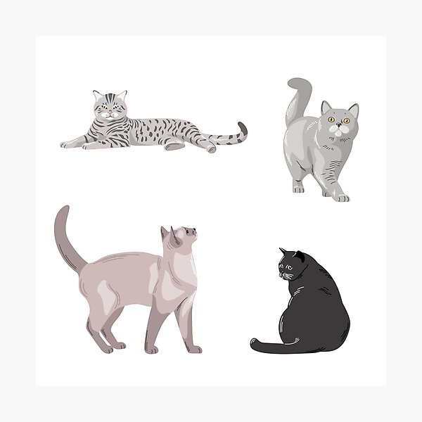 Item preview, Cats resting and playing in a simple illustration of different feline breeds in various poses designed and sold by Ms. Iryna.
