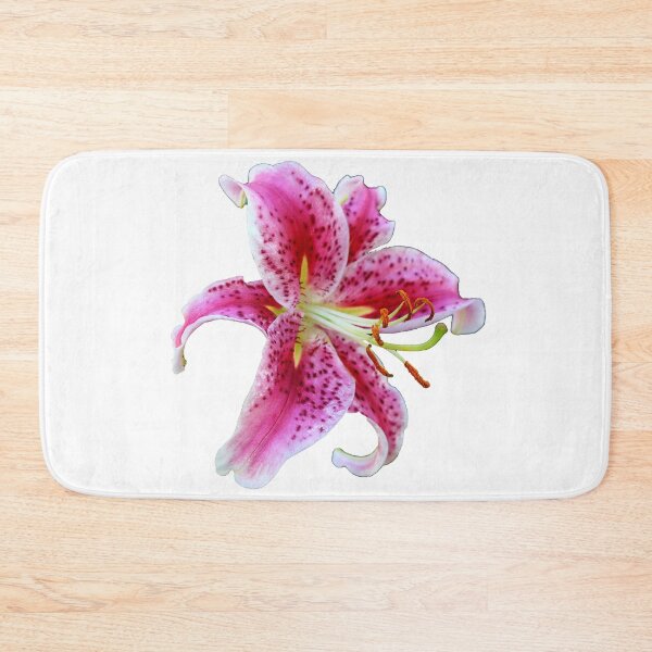 Item preview, Stargazer Oriental Single Lily designed and sold by BostonArcImage.