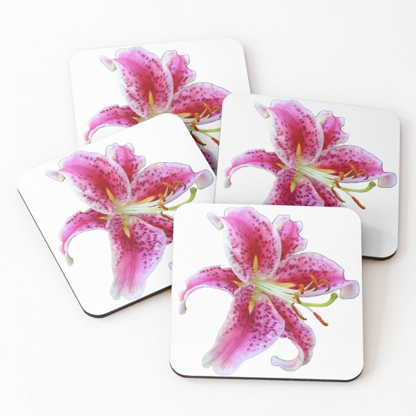 Item preview, Stargazer Oriental Single Lily designed and sold by BostonArcImage.