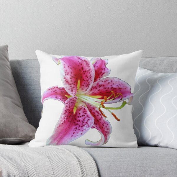 Item preview, Stargazer Oriental Single Lily designed and sold by BostonArcImage.