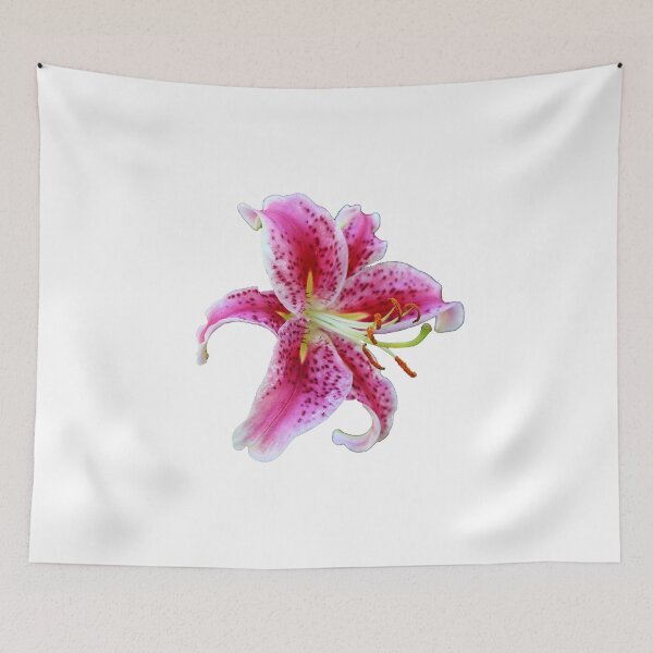 Item preview, Stargazer Oriental Single Lily designed and sold by BostonArcImage.