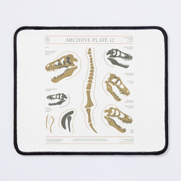Item preview, paleontology - paleoart - fossil hunter - natural history - museum aesthetic - dark academia fossil - cabinet of curiosities – jurassic prehistoric - field research - western fossil designed and sold by JansenGS.