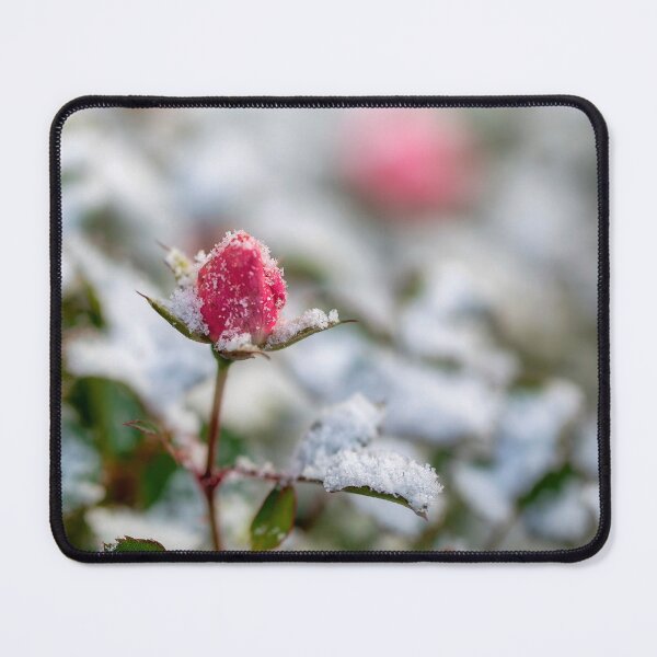 Item preview, Snow and Rose ...togetherness designed and sold by drozdovs16.