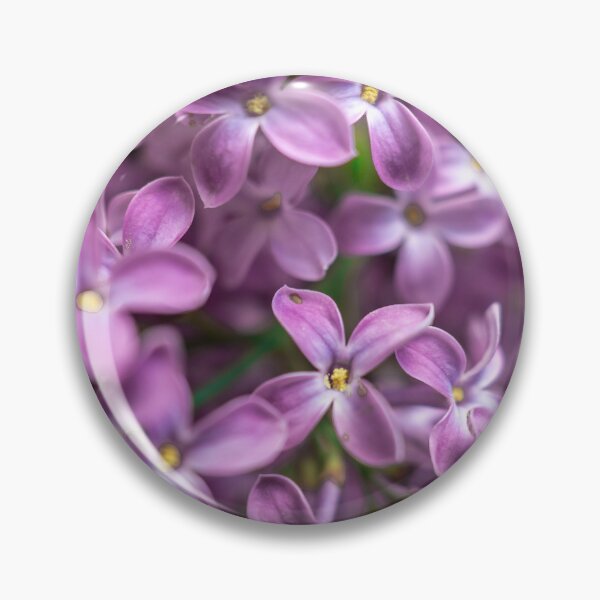 Item preview, Violet flowers designed and sold by HAPPYRAWFOTOGRAFIA.