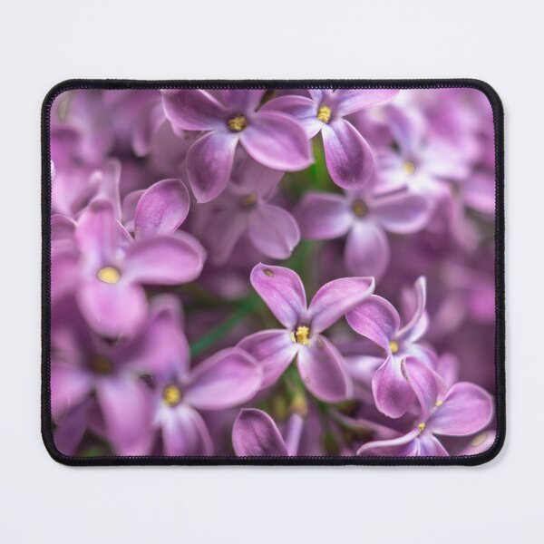 Item preview, Violet flowers designed and sold by HAPPYRAWFOTOGRAFIA.