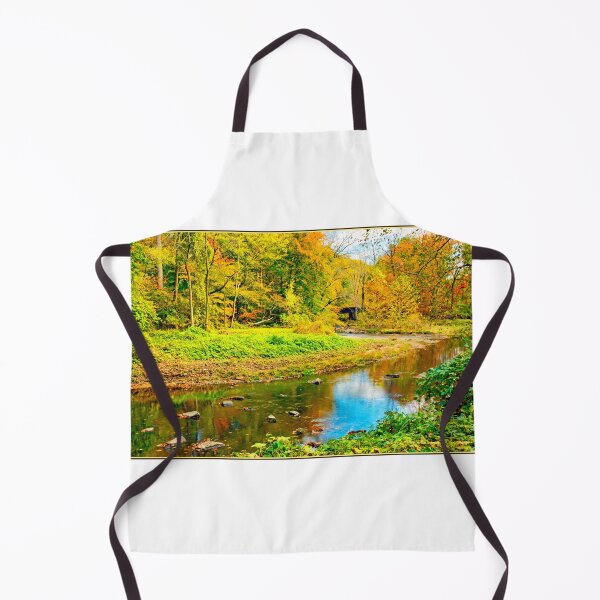 Item preview, Stream in Fall, Pennypack Creek, Montgomery County, Pennsylvania, 2000 designed and sold by AMacGPhilly.